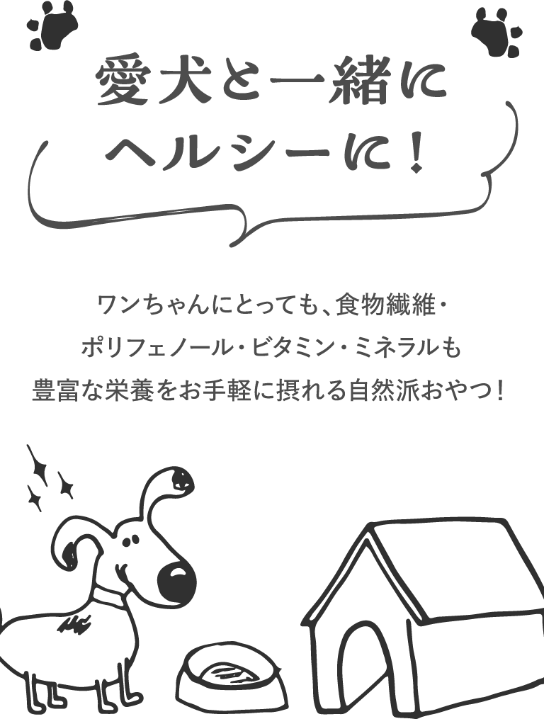 愛犬と一緒にヘルシーに！